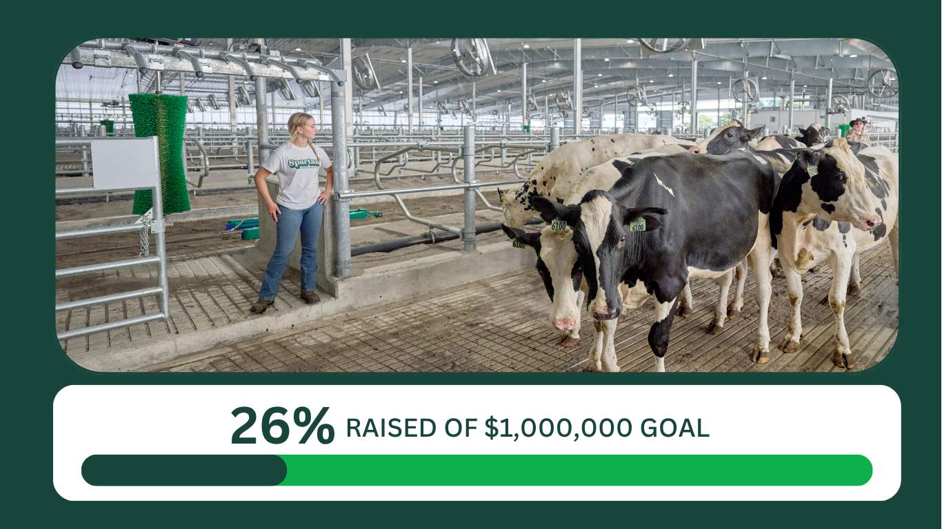 Image of a student at the MSU Dairy Cattle Teaching and Research Center. This image includes a progress to goal thermometer that indicates that this campaign is 26% of the way towards raising $1,000,000 for this campaign.